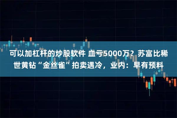 可以加杠杆的炒股软件 血亏5000万?苏富比稀世黄钻“金丝雀”拍卖遇冷,业内:早有预料